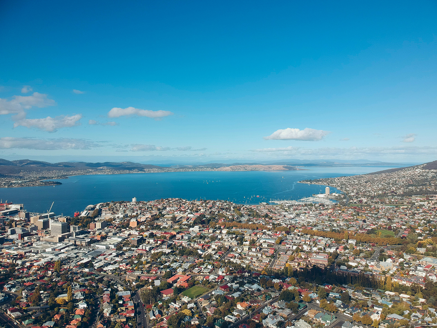 Wild Tasmania - 12 Days primary image