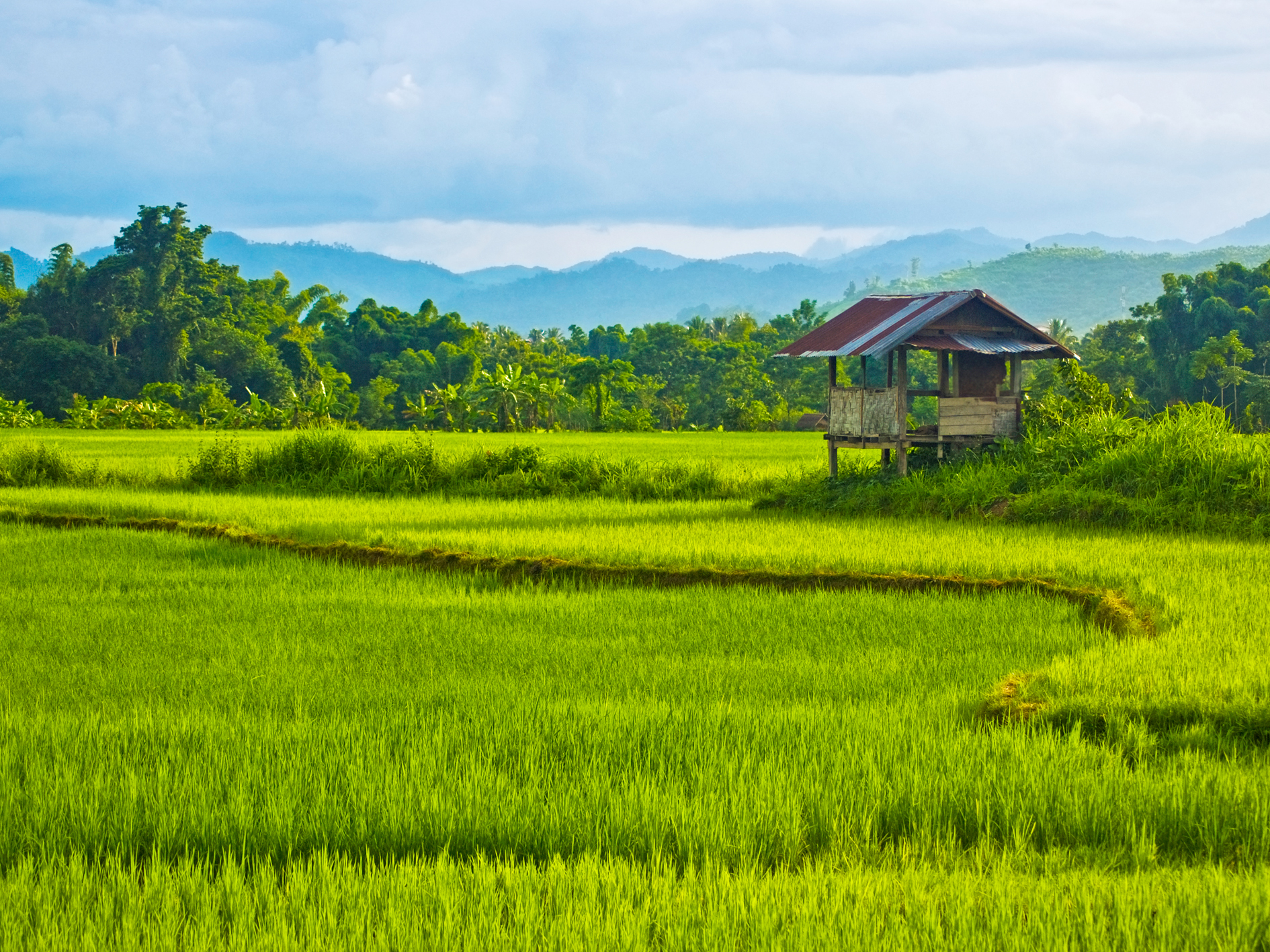 Karst Peaks and Golden Stupas - 4 days image