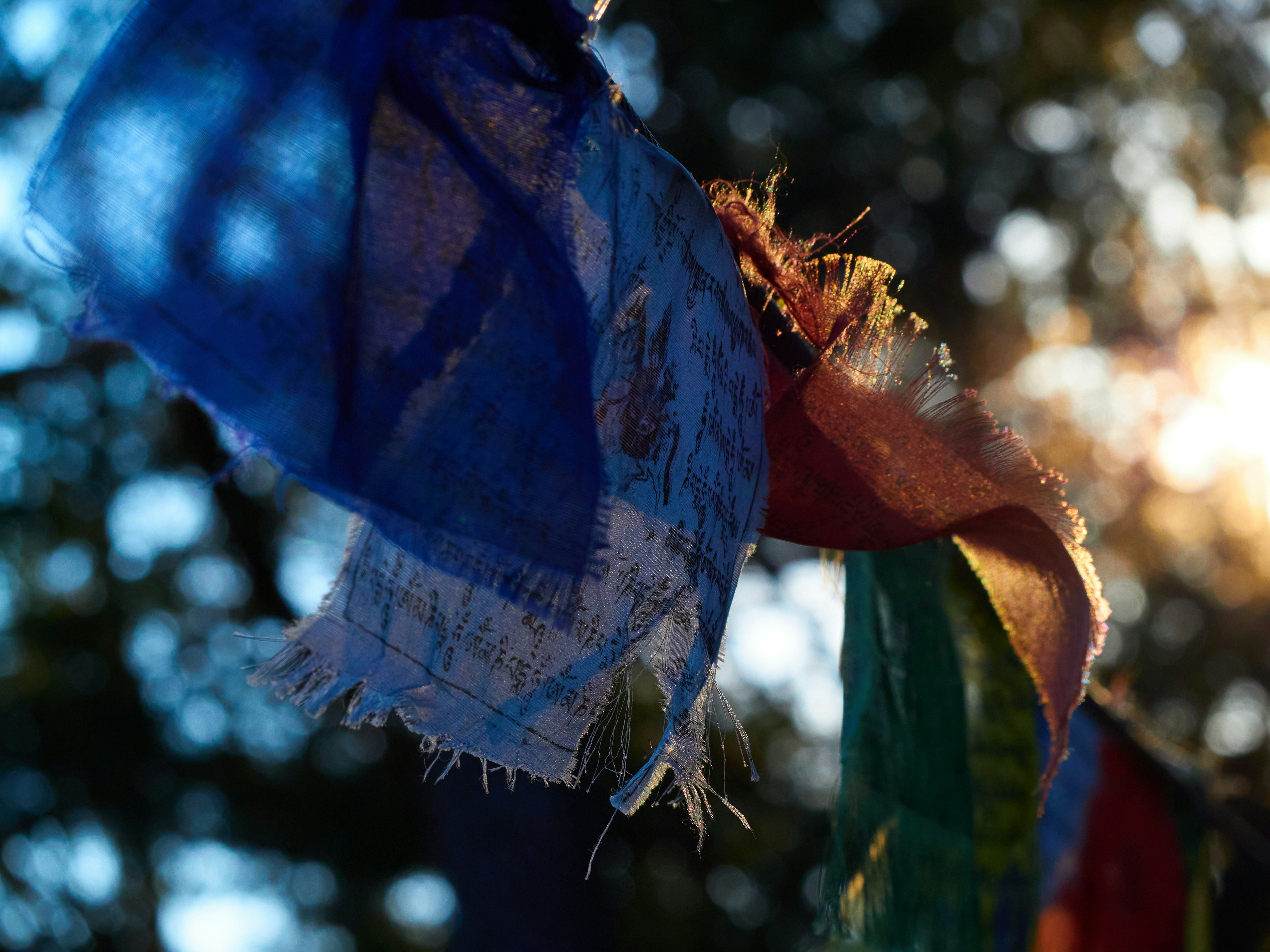 Nepal & Bhutan Peaks Adventure - 10 days primary image