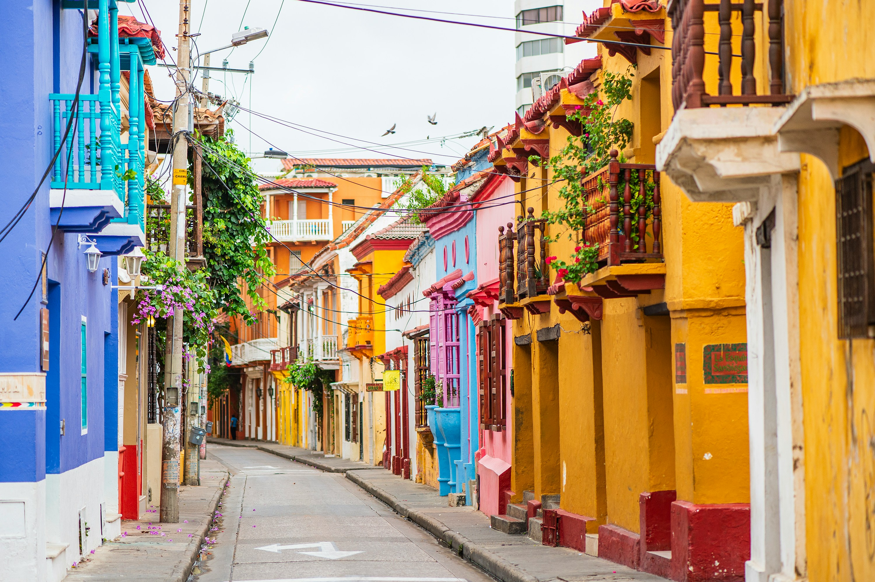 Colombia Cultural Discovery - 9 days primary image