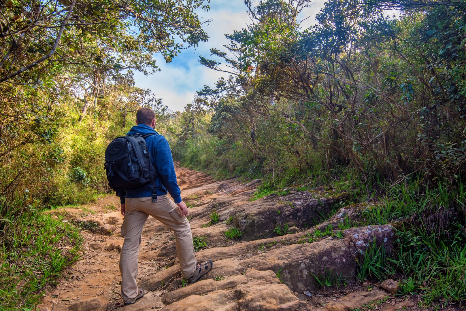 Sri Lanka Pekoe Trail Trek - 12 days primary image