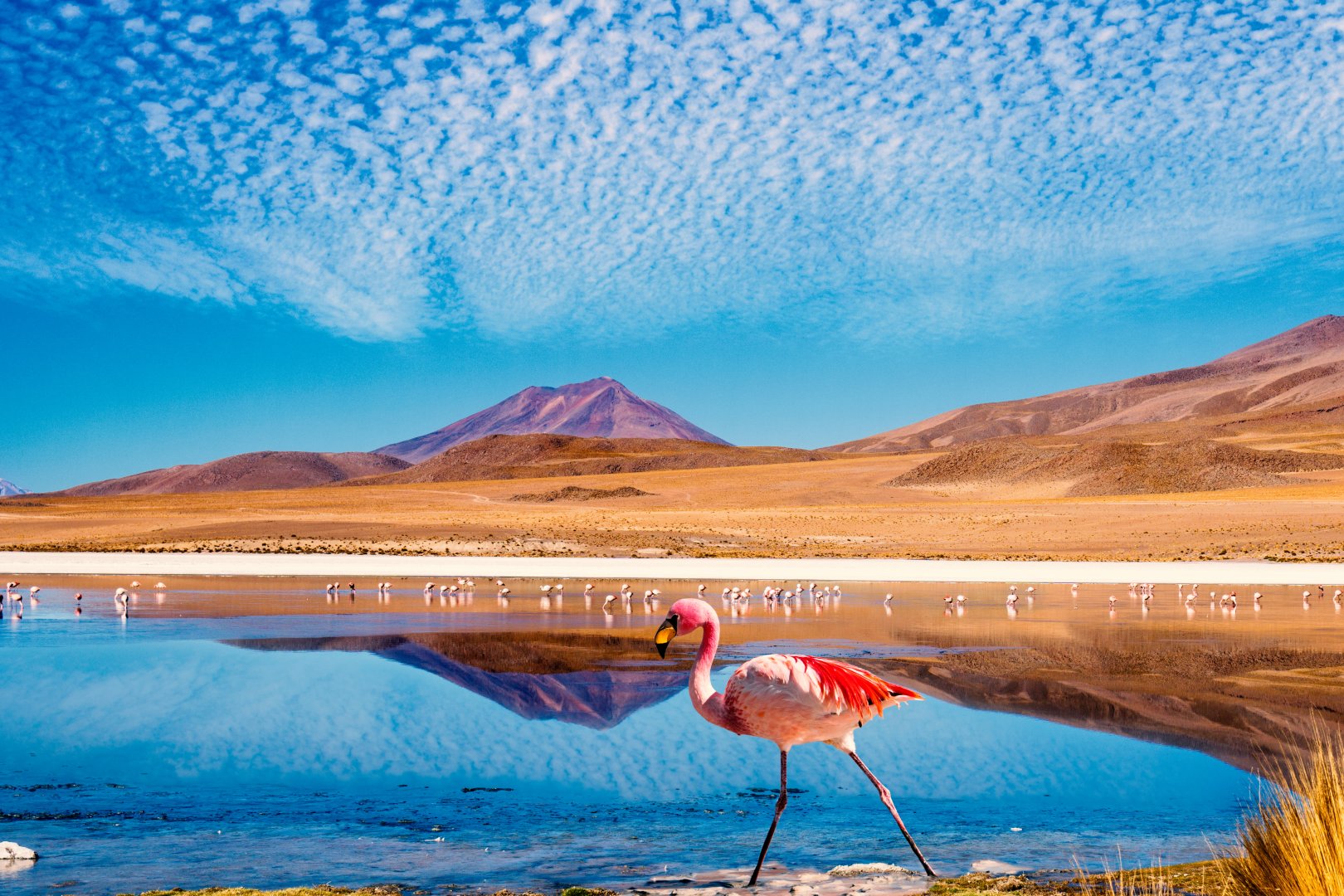Essential Bolivia Explorer - 8 days image