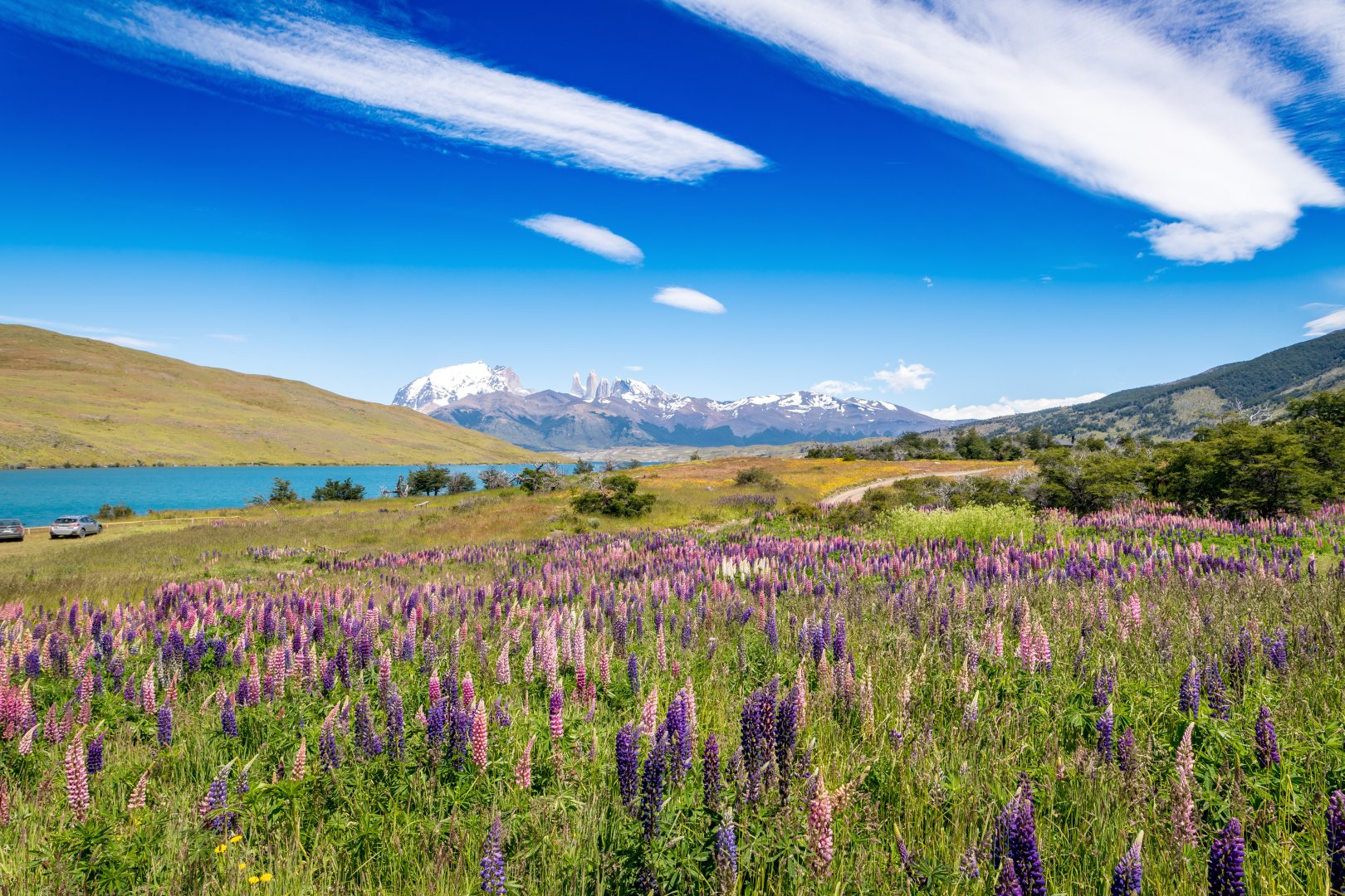 Patagonia Trekking Adventure - 13 days primary image