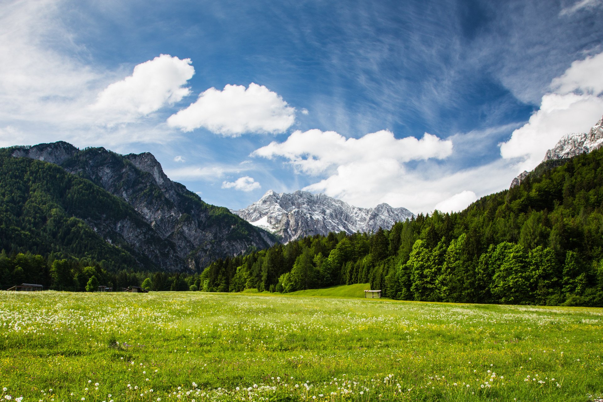 Soca & Bohinj Valleys Walk - 8 days primary image