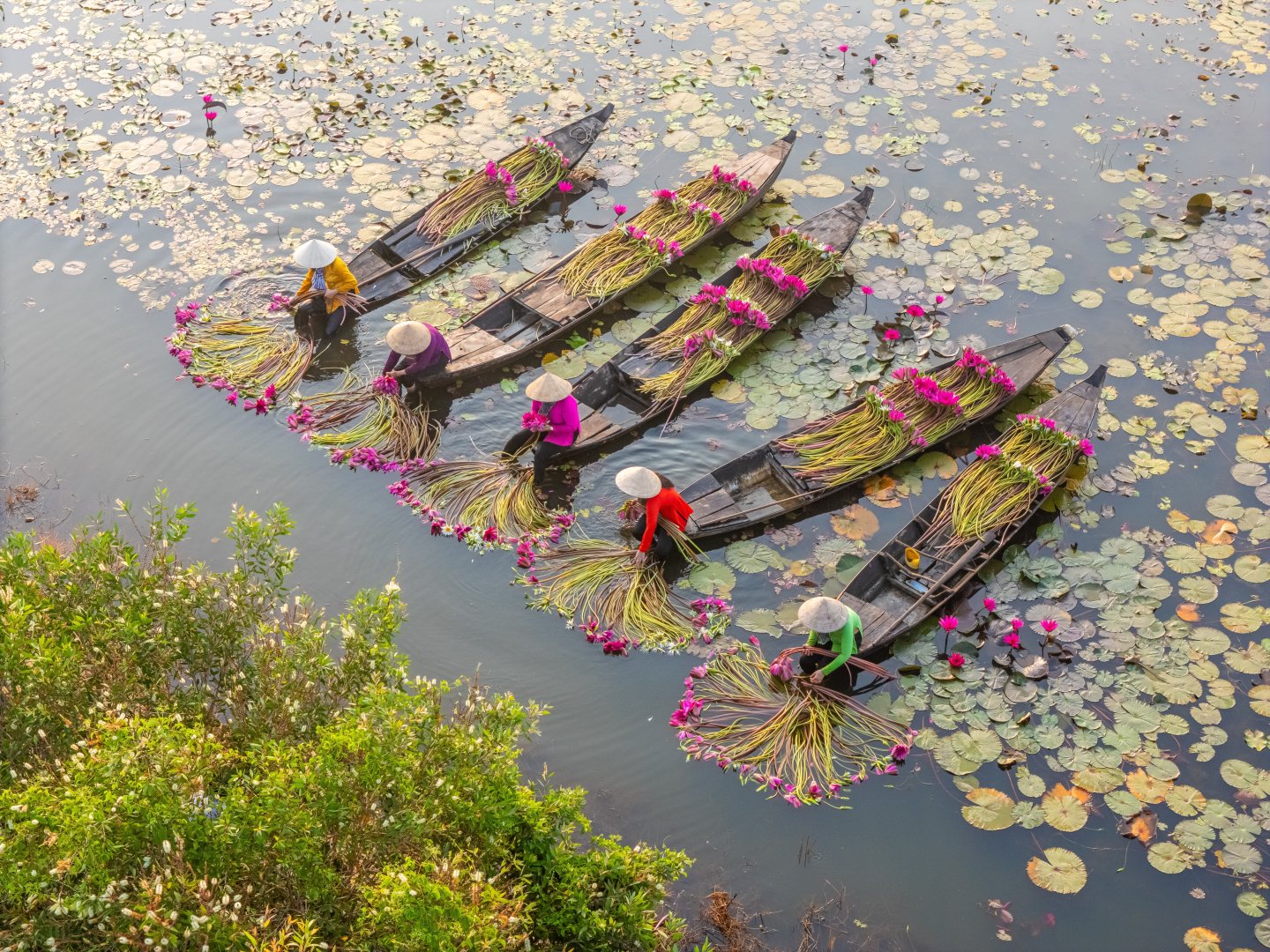 Vietnam Premium Discovery - 14 days primary image