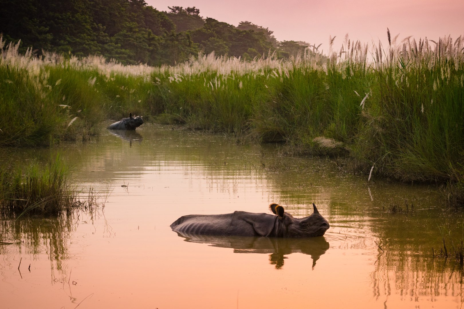 Annapurna & Chitwan Adventure - 13 days primary image