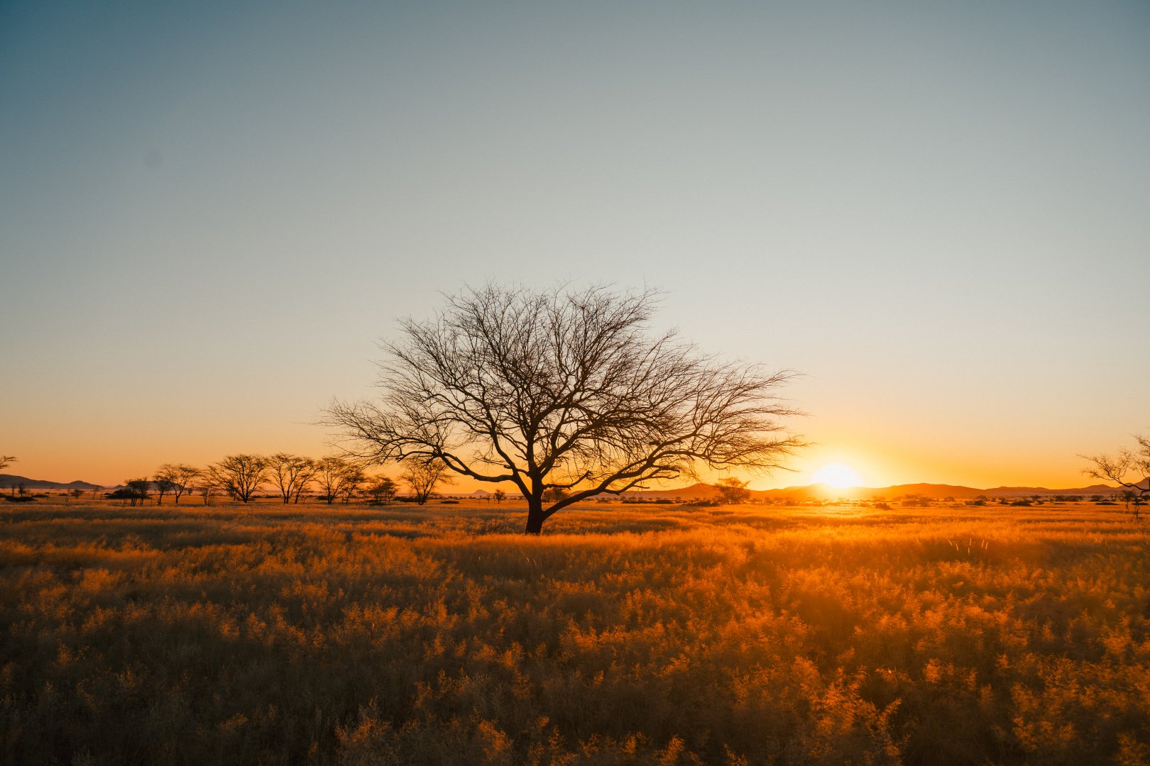 Botswana & Namibia Safari - 14 days primary image