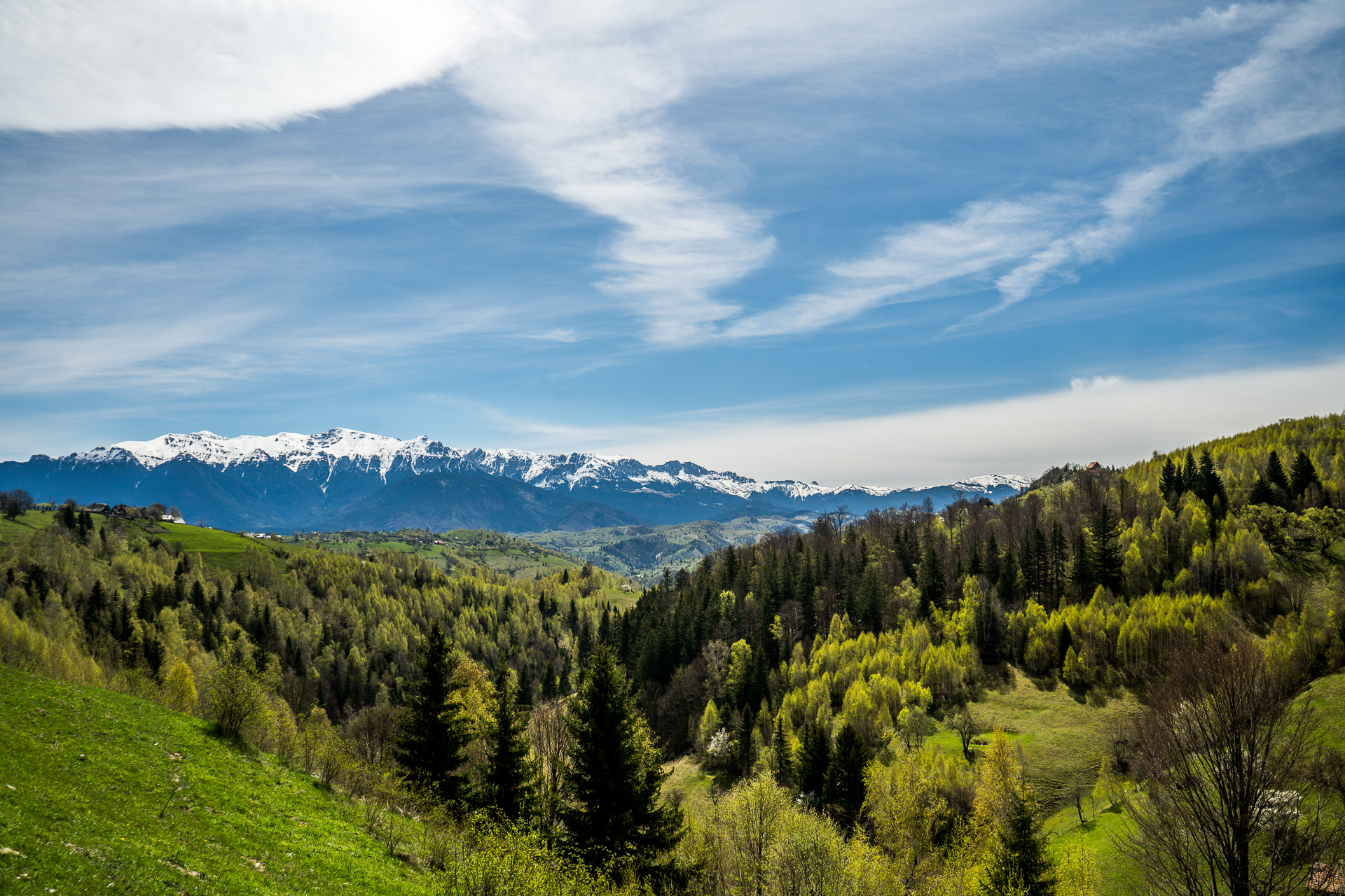 Transylvania & Carpathians Walk - 8 days primary image