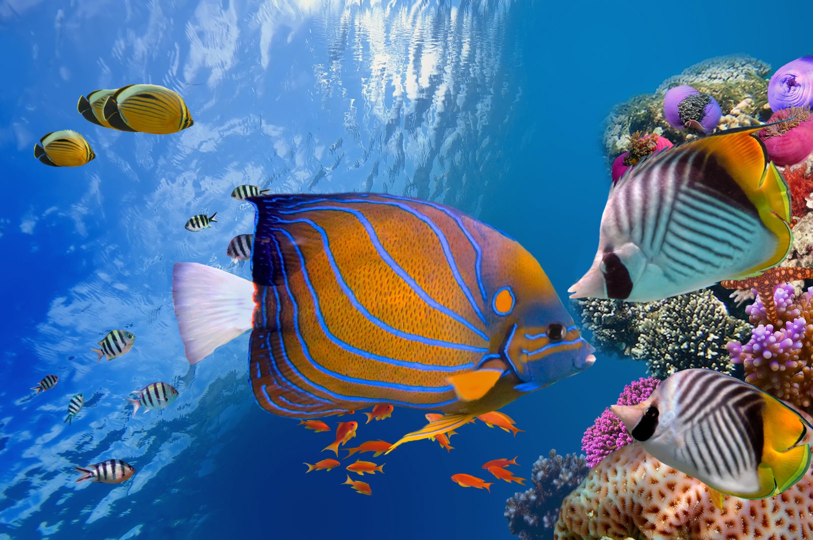 Belize Reef & Ruins Adventure - 12 days image