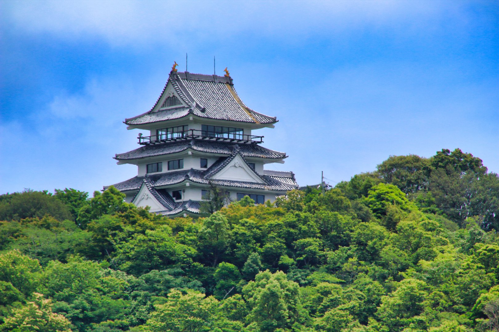 Shikoku Pilgrimage Trail Journey - 11 days primary image
