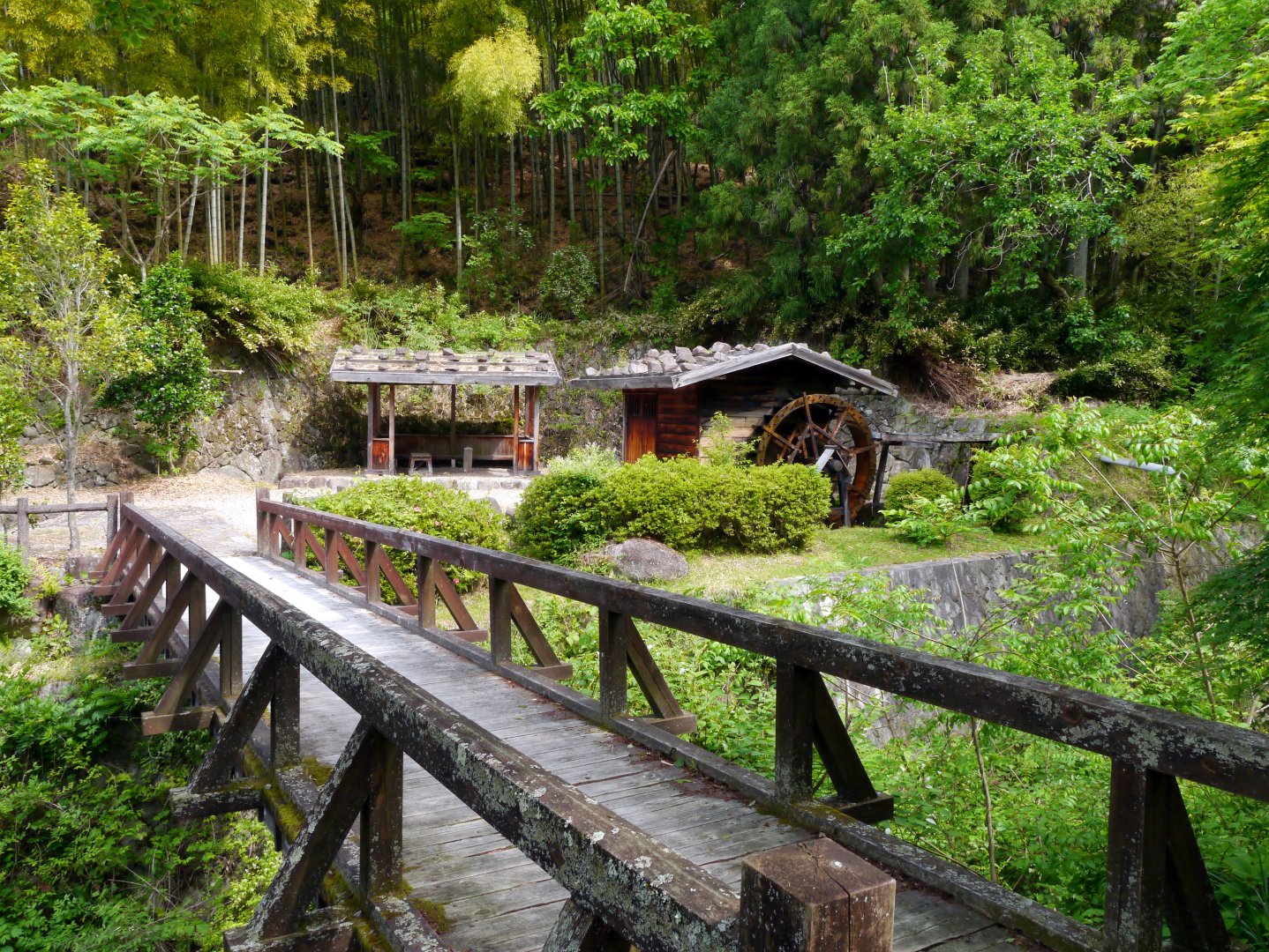 Nakasendo Trail to Tokyo - 11 days primary image