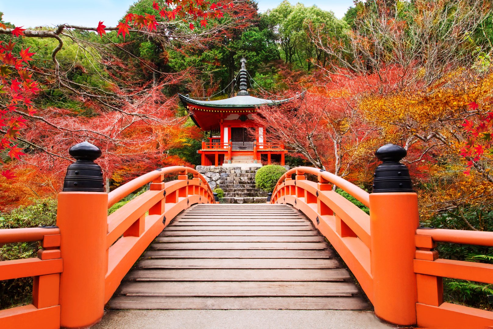 Kumano Kodo Sacred Trails - 11 days primary image