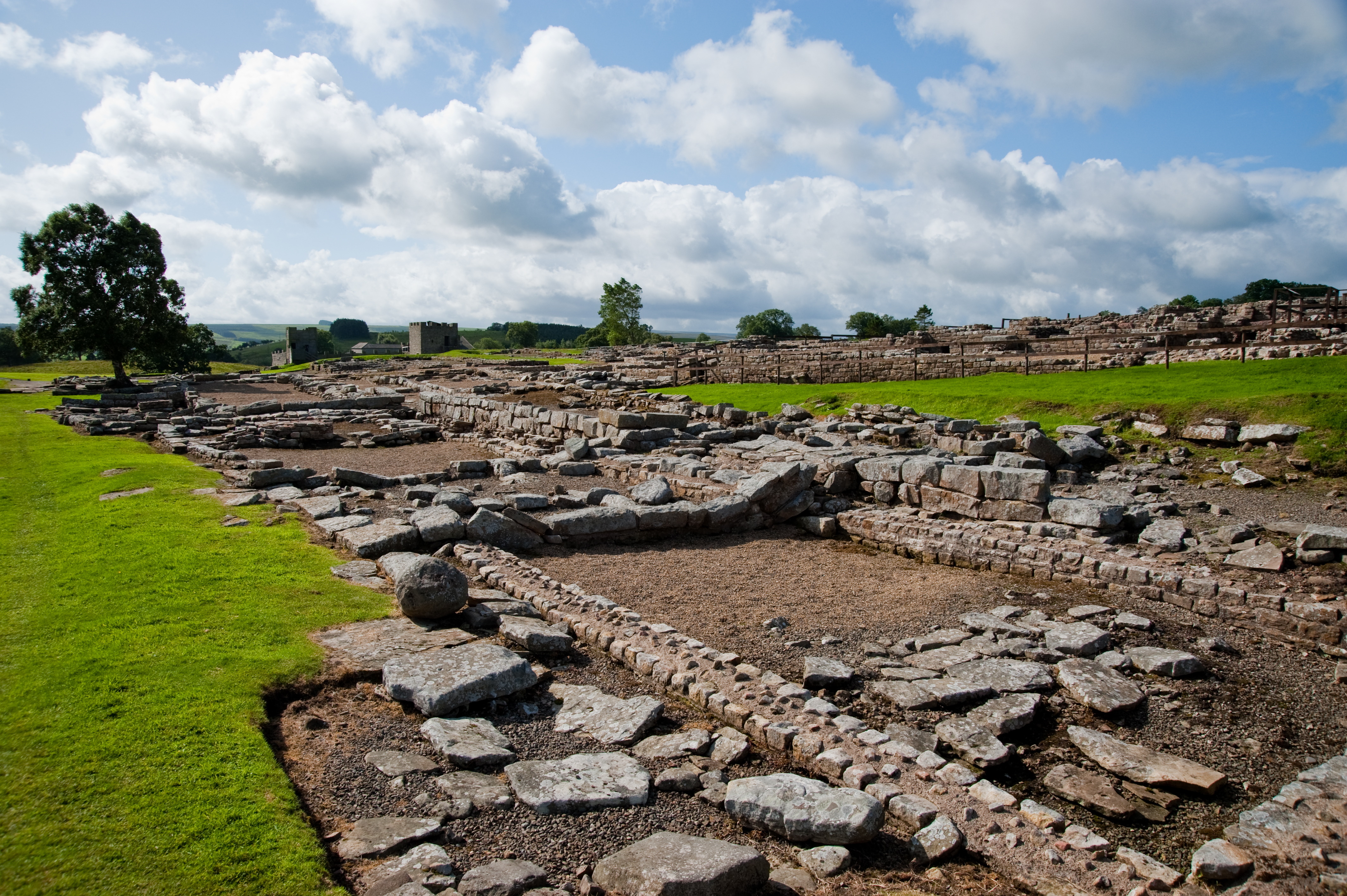 Best of Hadrians Wall Walk - 6 days primary image