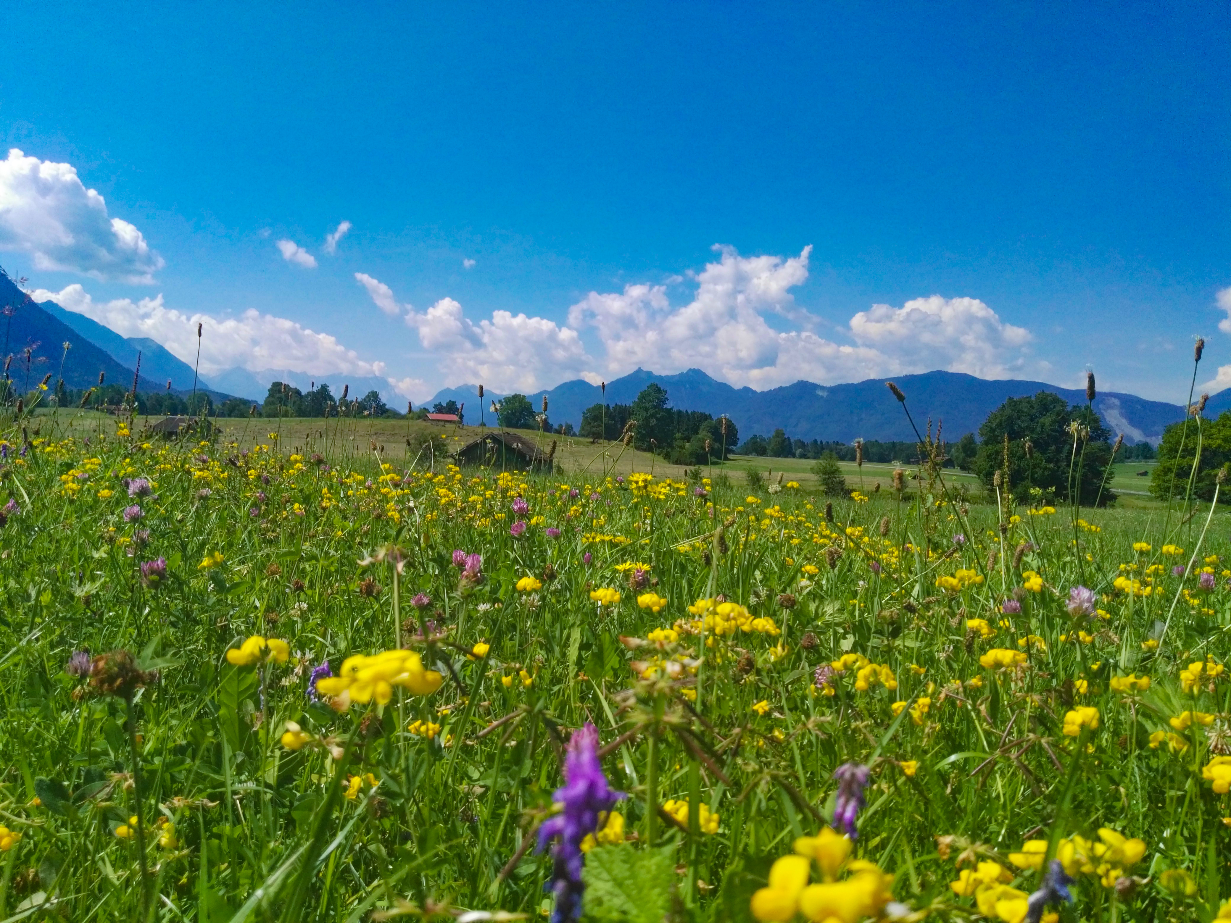 Bavarian Lakes Cycling Escape - 8 days primary image