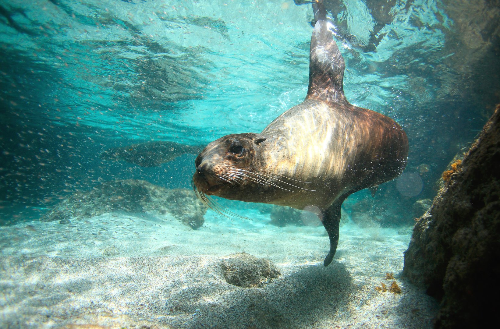 Galapagos Walking Adventure - 14 days primary image