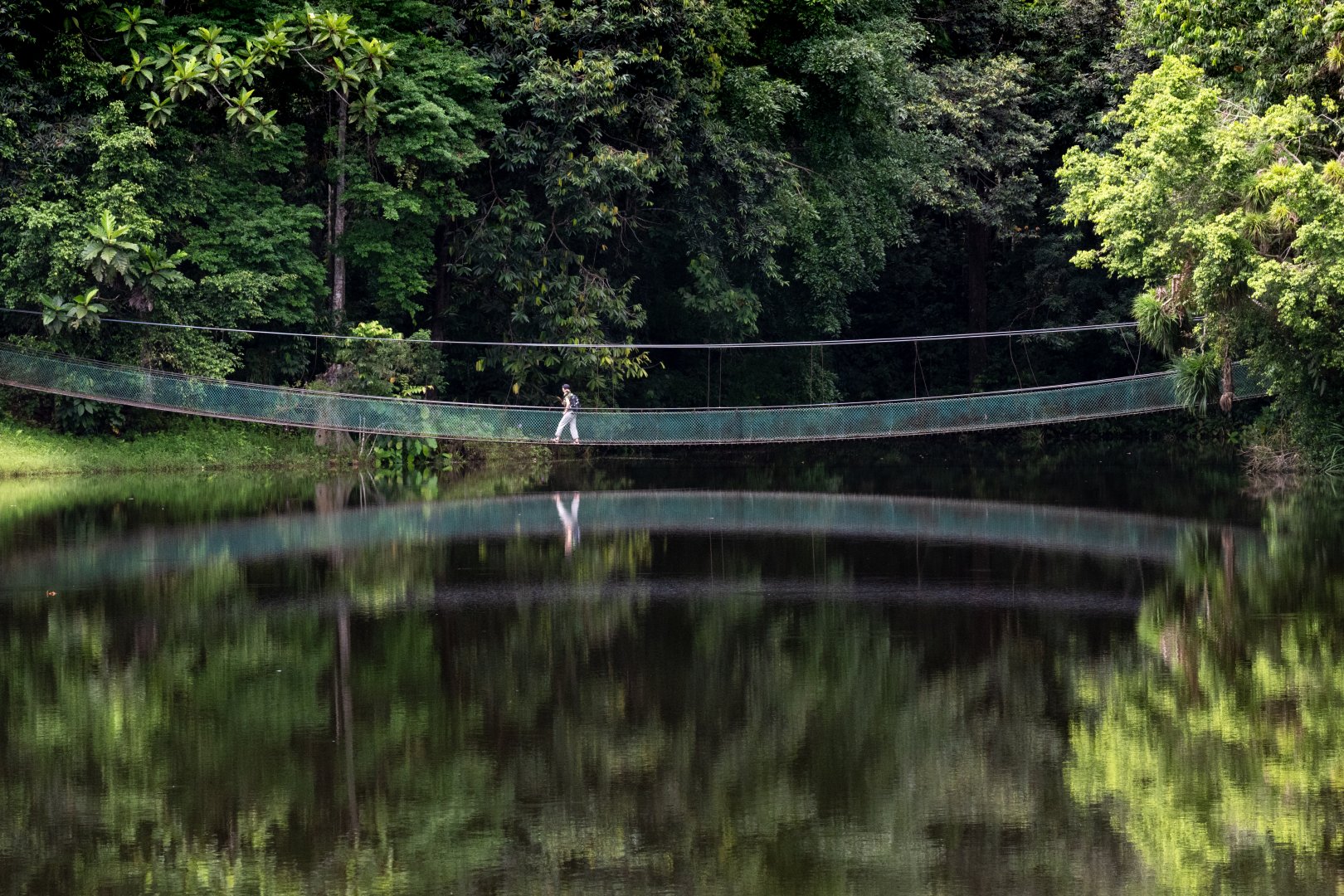 Borneo and Peninsula Discovery - 14 days image