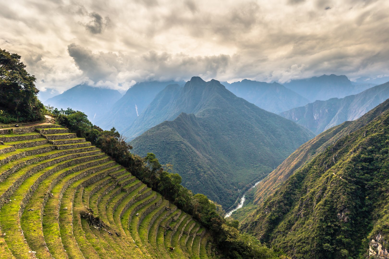 Inca Trail Mountain Adventure - 8 days primary image