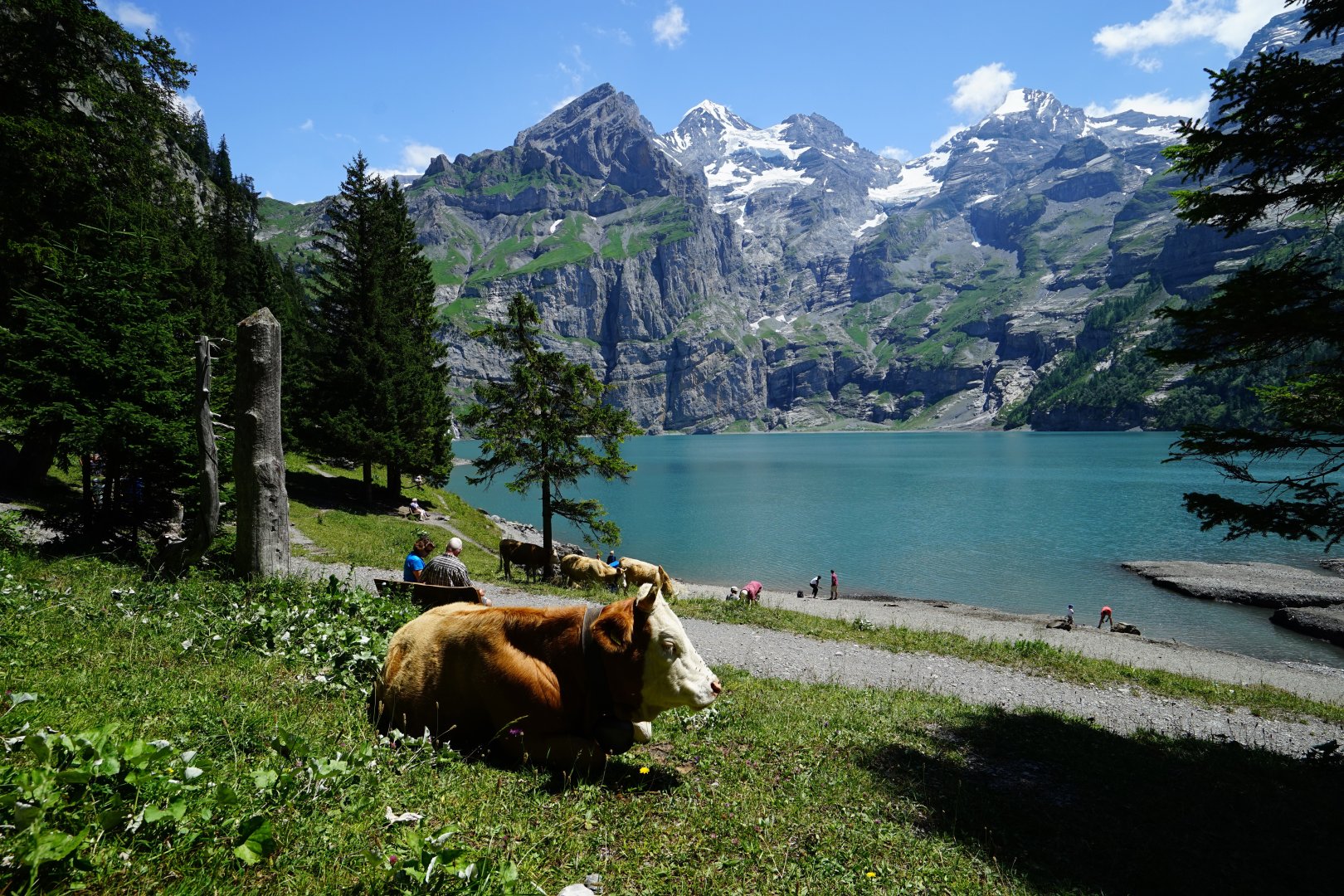 Swiss Alps Classic Walk - 8 days primary image