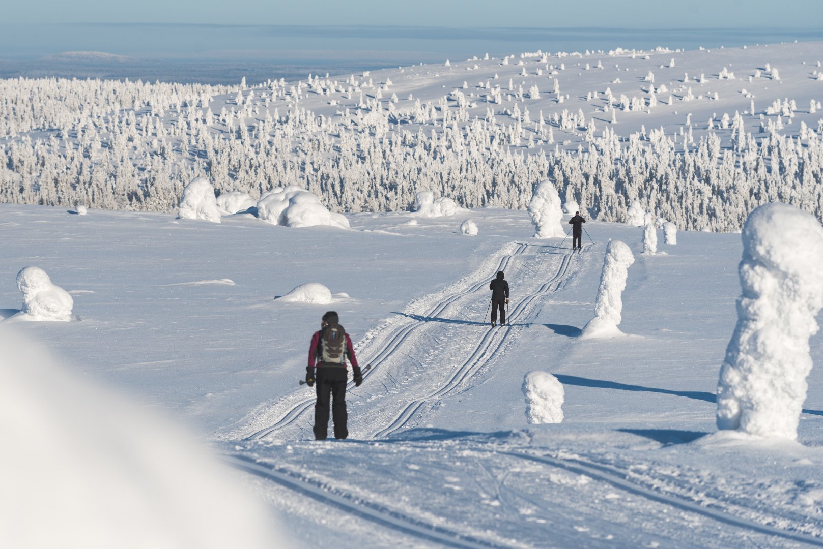 Lapland Cross Country Journey - 8 days primary image