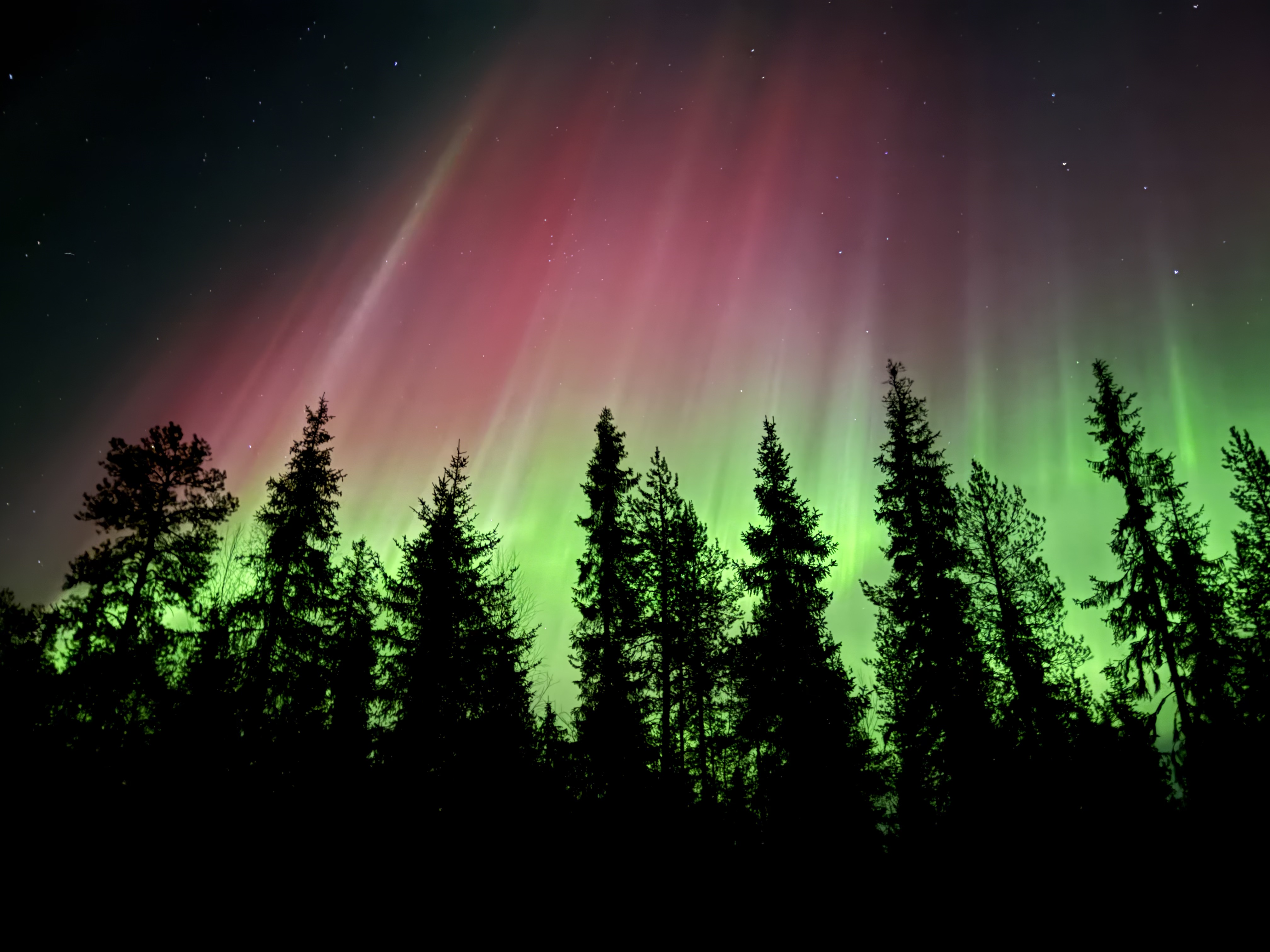 Swedish Lapland Winter Escape - 8 days primary image