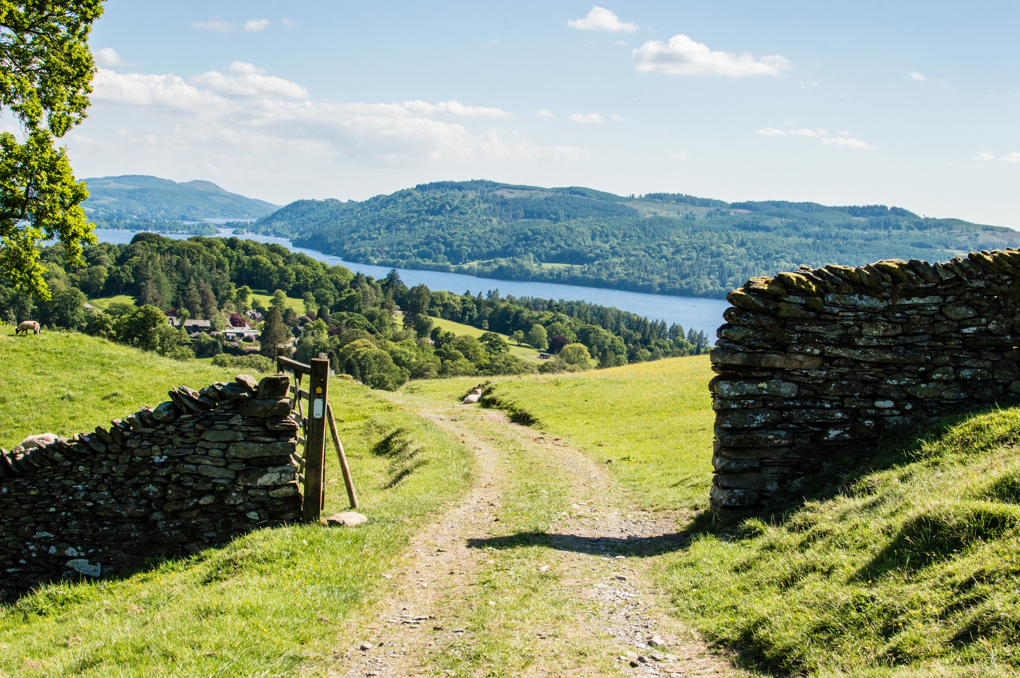 Literary Lake District Walk - 7 days primary image