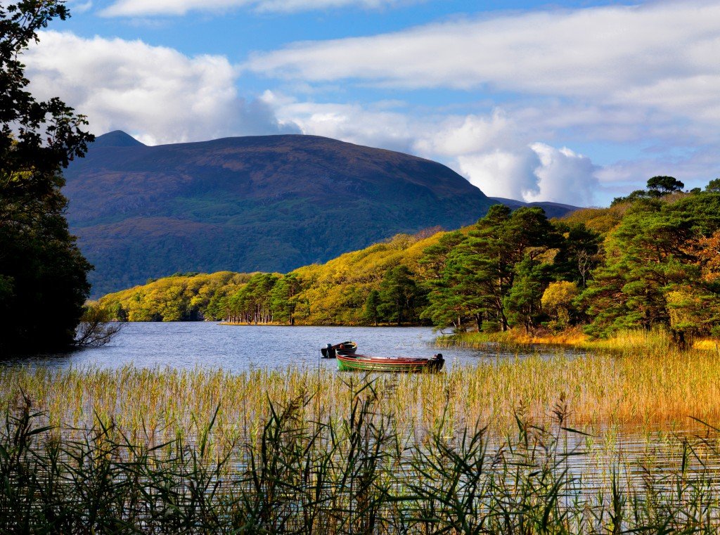 Kerry Way and Killarney Walk - 8 days primary image