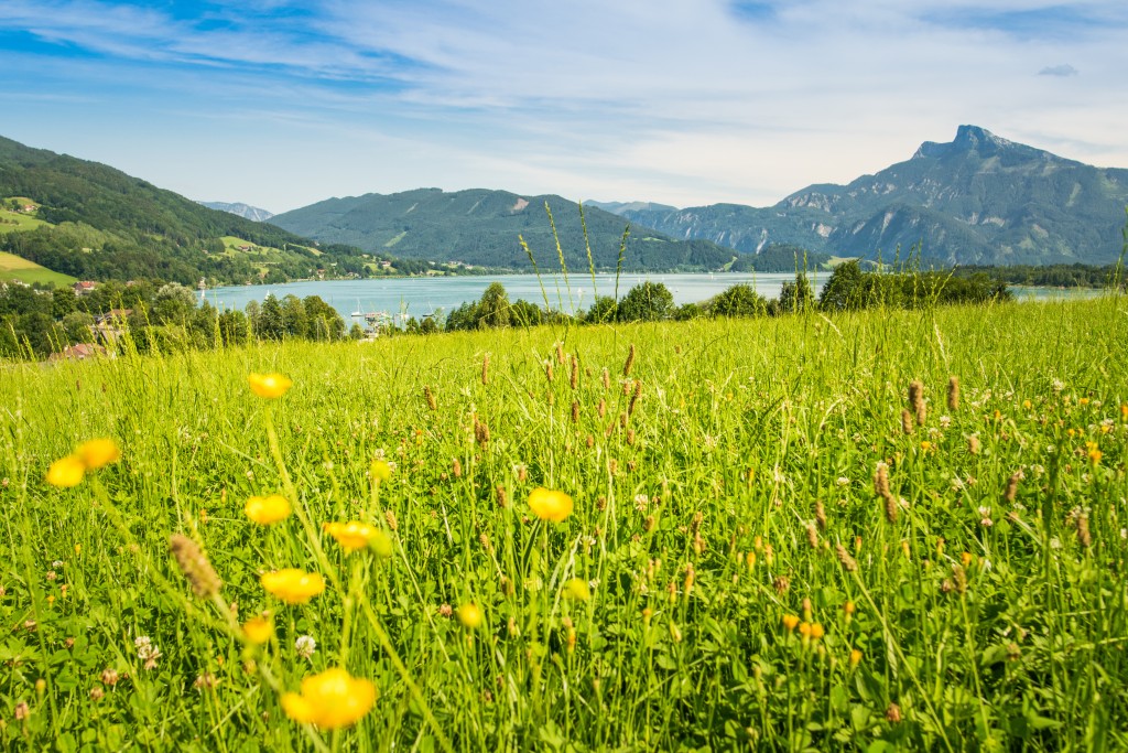 Austrian Lake District Walk - 8 days primary image