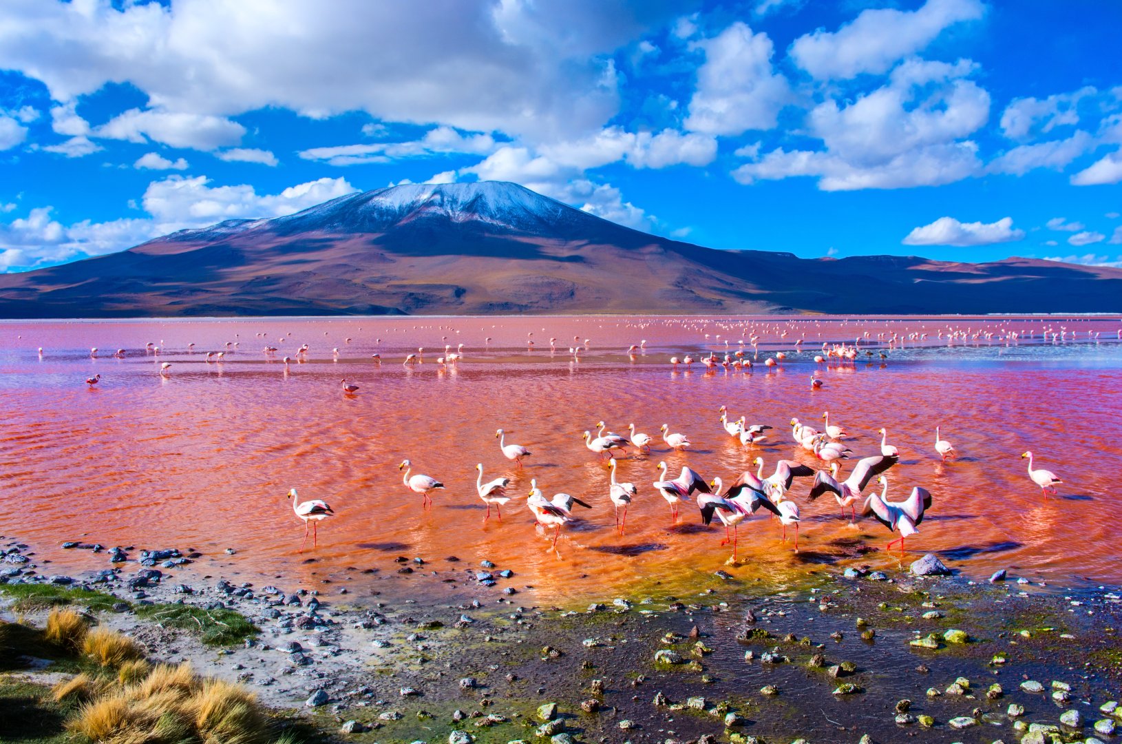 Atacama to Salta Cycling - 13 days primary image
