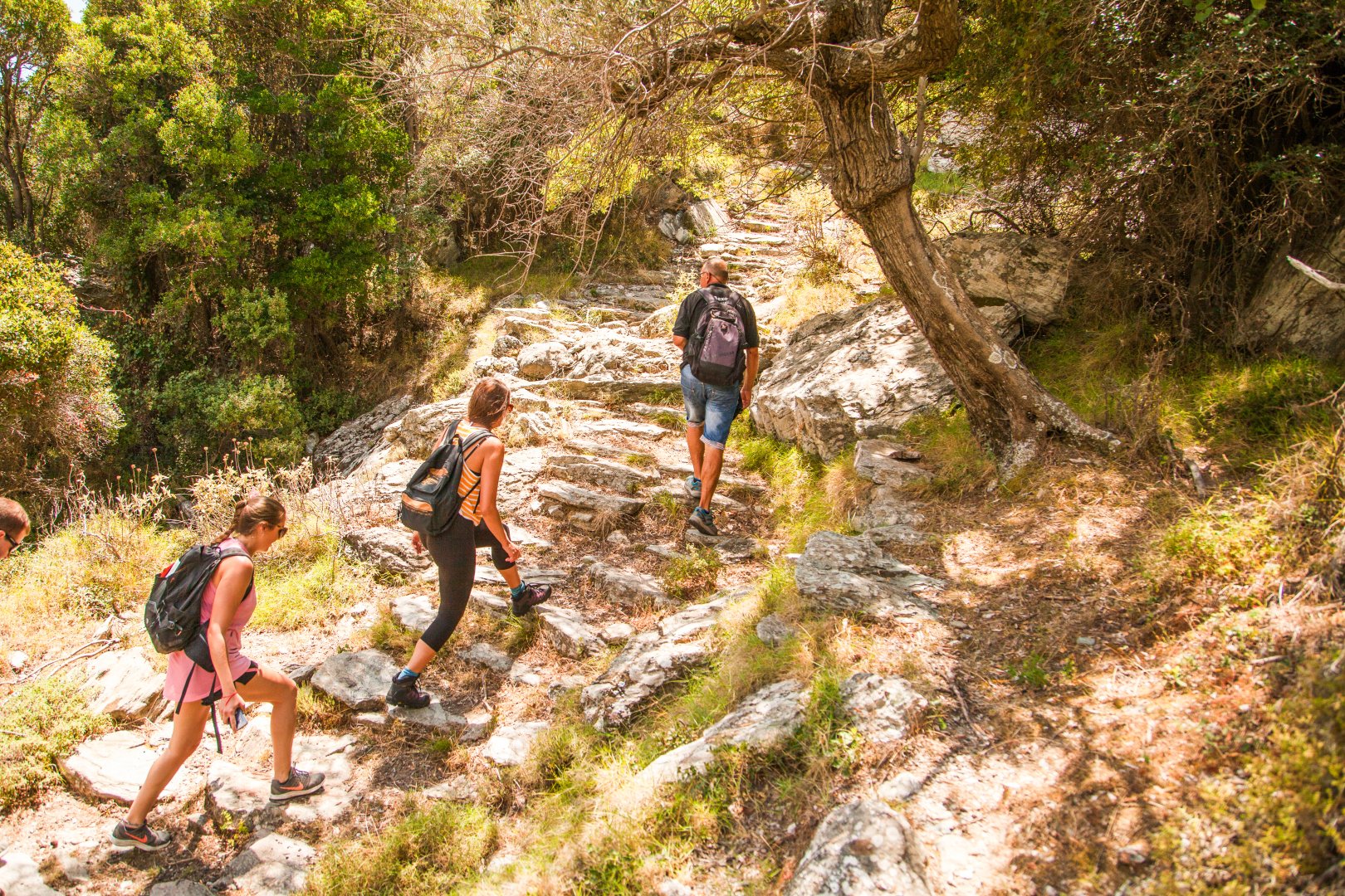 Evia Mountain and Village Walk - 8 days itinerary day image