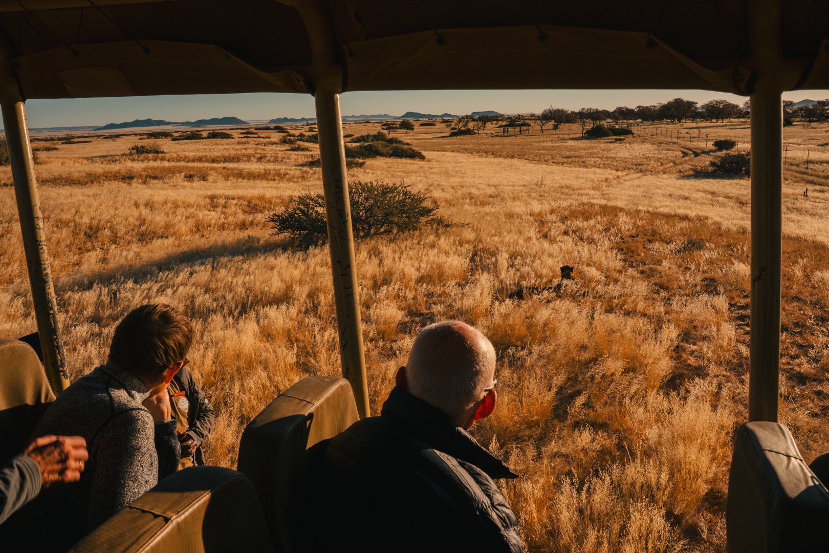 Namibia Lodge Safari Escape - 13 days primary image