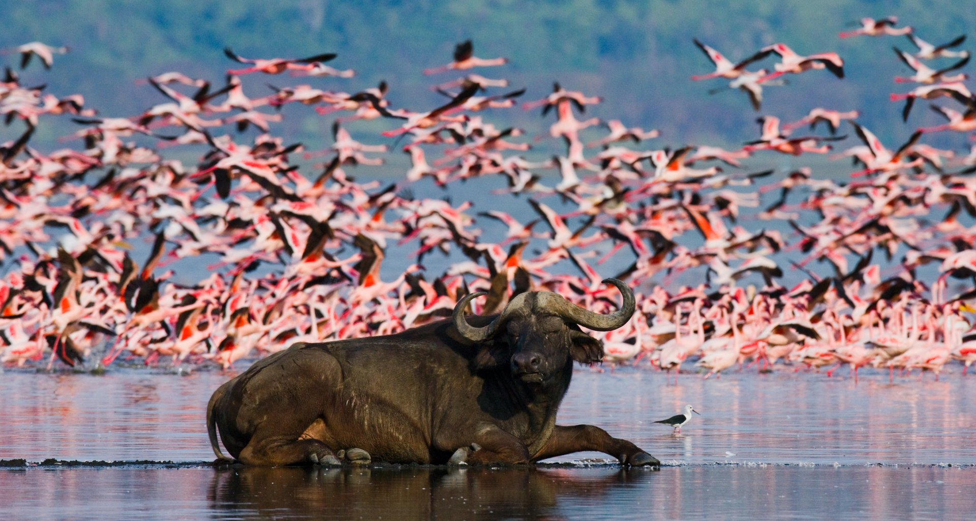 Kenya and Tanzania Adventure - 14 days primary image