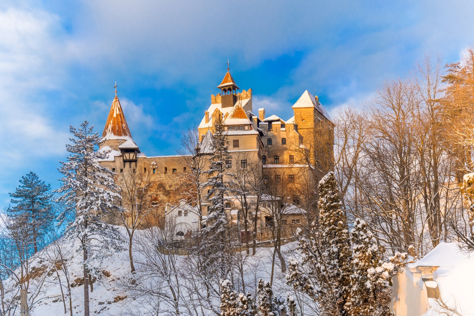 Transylvania Winter Snowshoe Walk - 8 days primary image