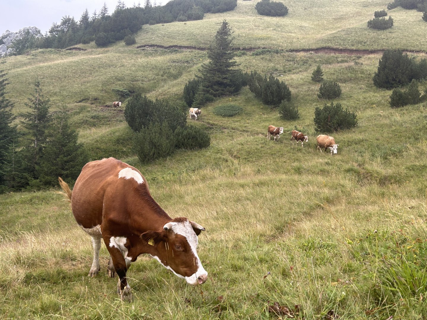 Day 2 - Sutjeska National Park itinerary day image
