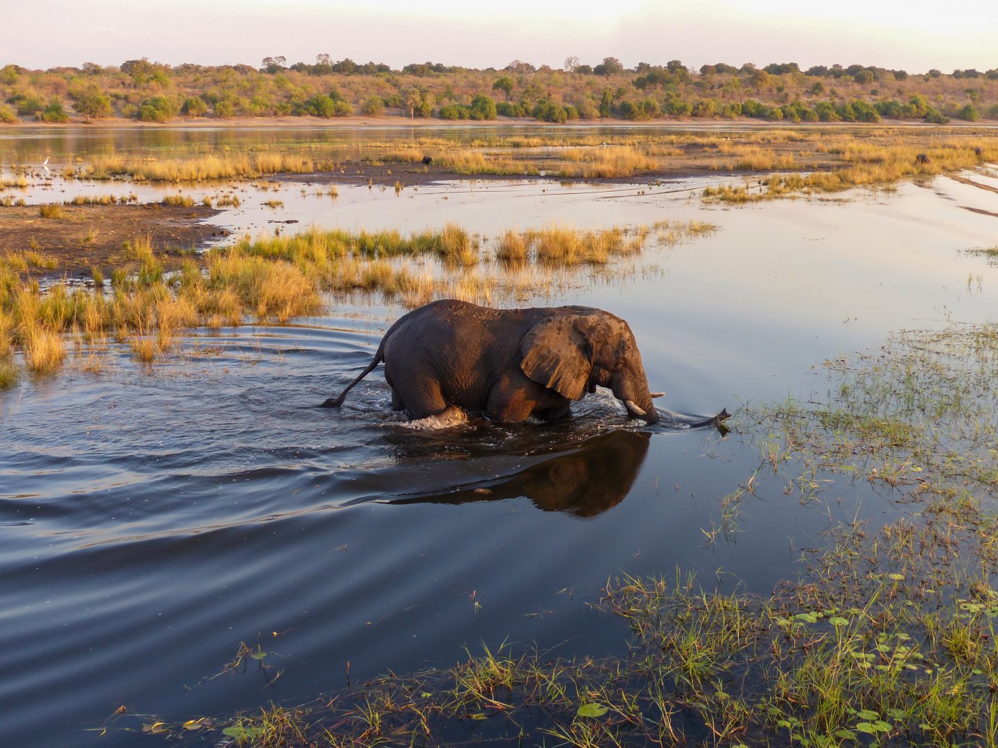 Botswana and Zimbabwe Safari - 14 days primary image