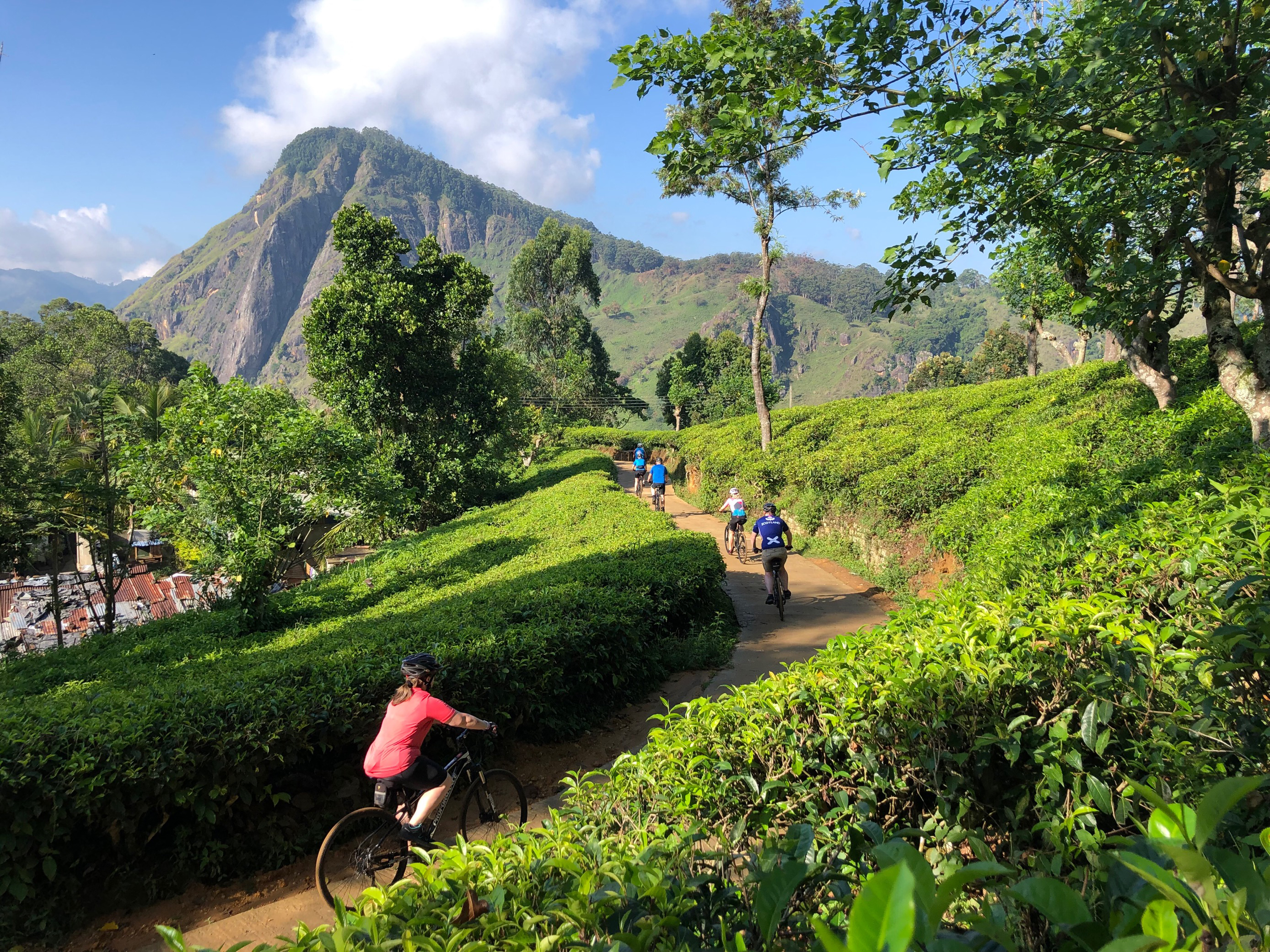 Sri Lanka Back Roads Cycling - 14 days primary image