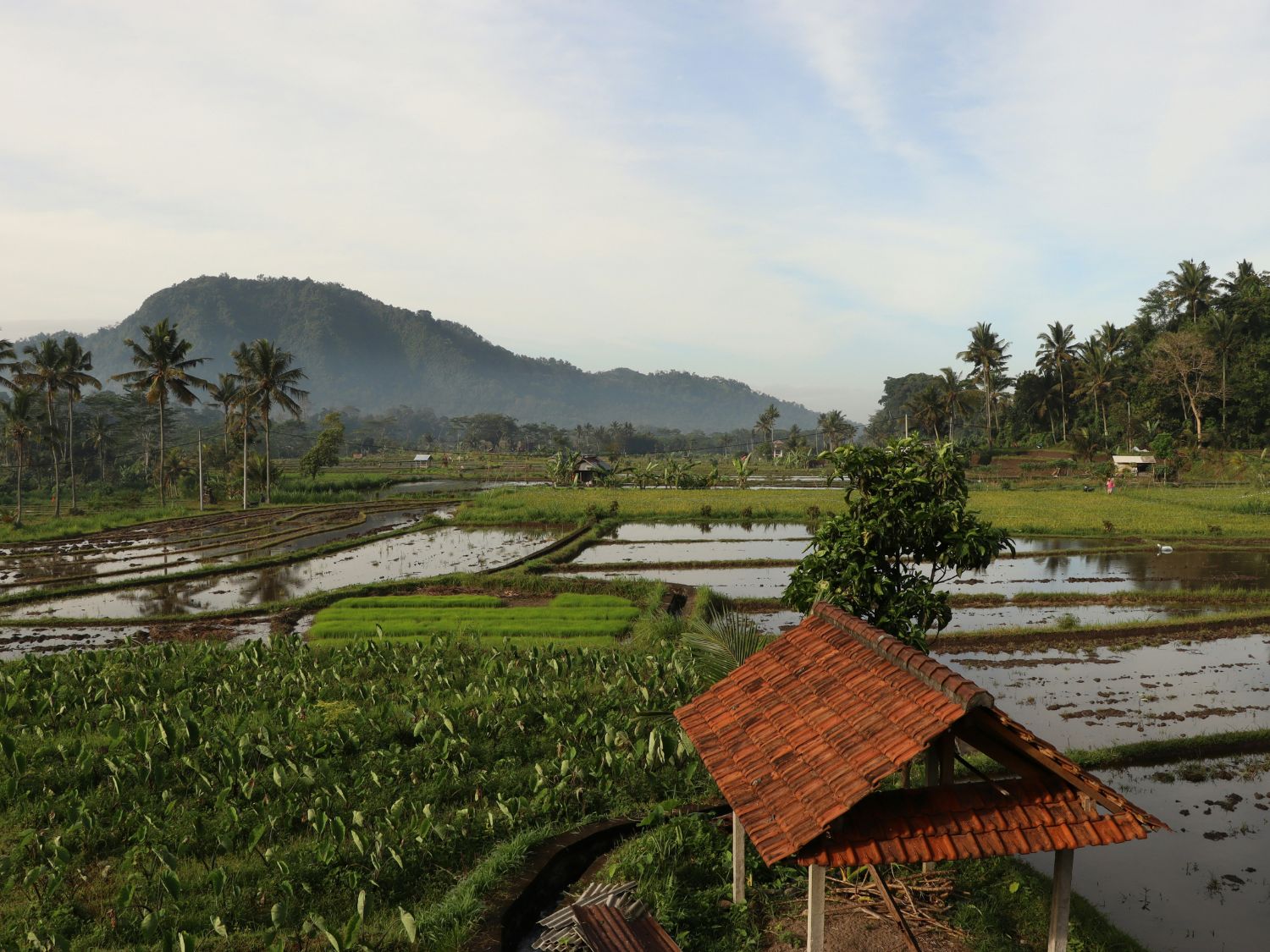 Bali, Komodo & Malaysia Adventure - 14 days primary image