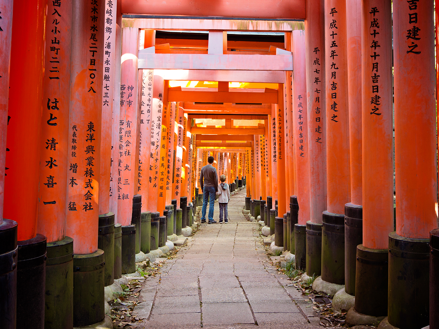 Self-Guided Japan - 8 days primary image