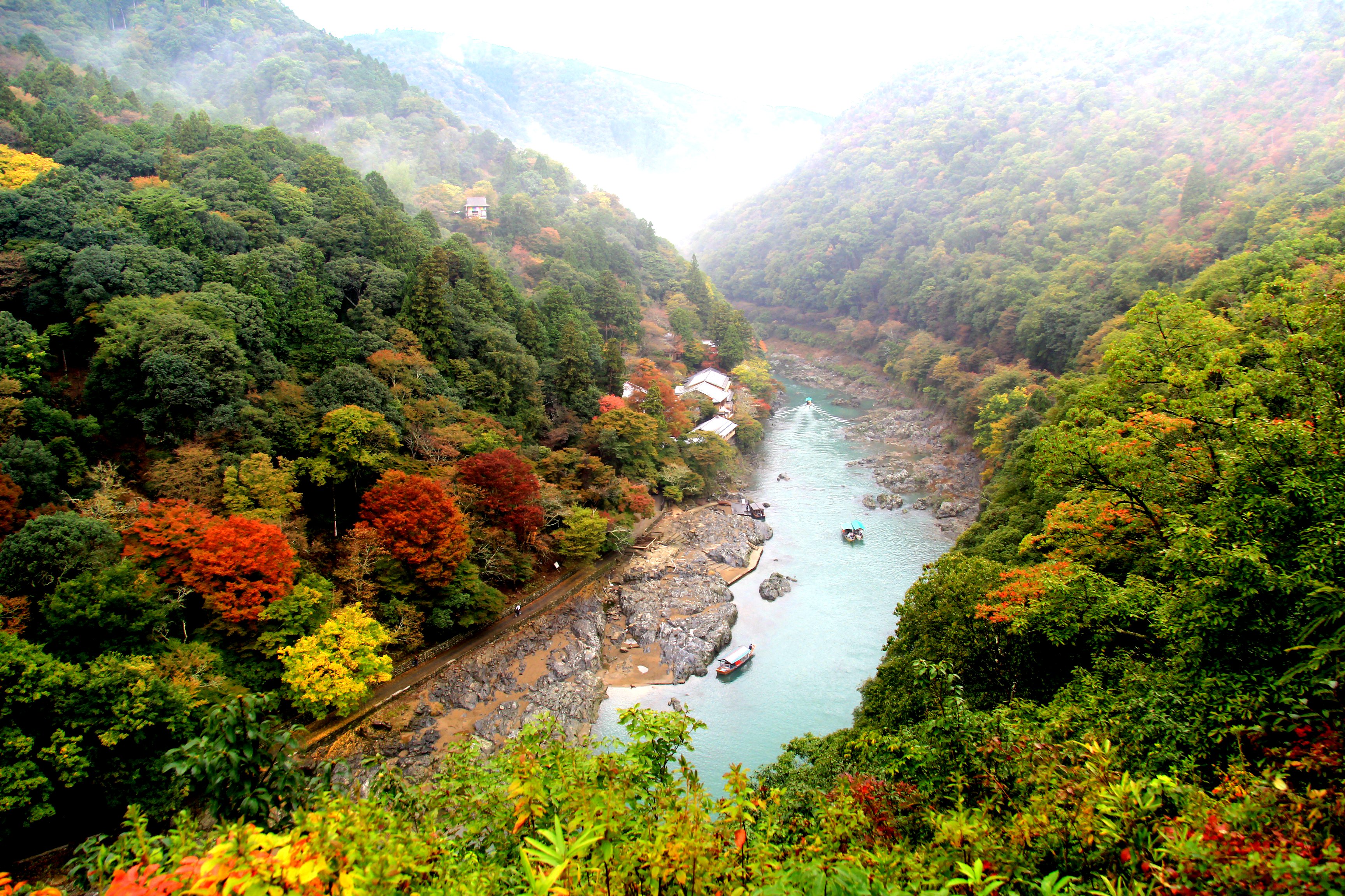 Day 6 - Kyoto Temples & Shrines Tour itinerary day image