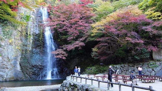 Day 8 - Private Osaka City Walking Tour itinerary day image