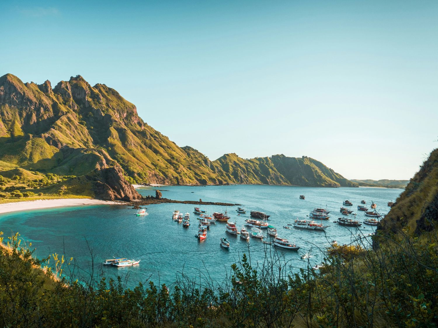 Borneo, Komodo & Bali Wild Explorer - 14 days image