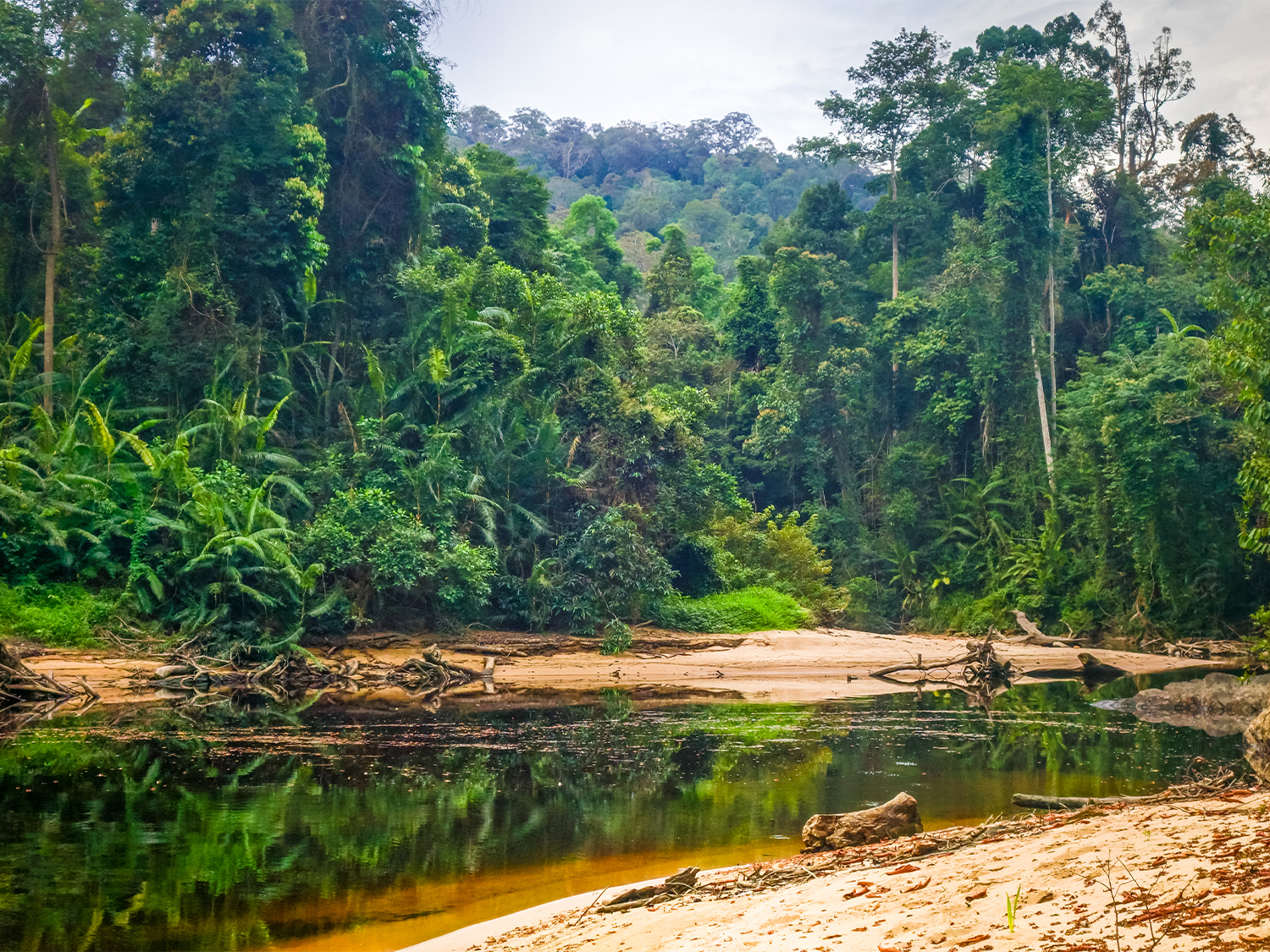 Day 3 - Travel to Taman Negara itinerary day image