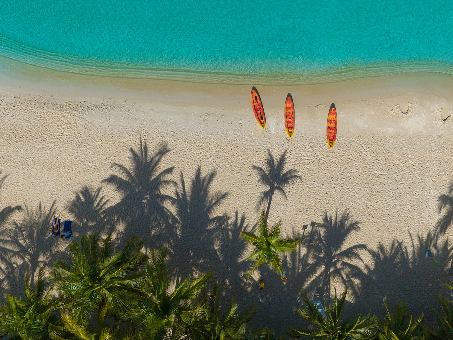 Day 8 - Free Time to Uncover Phu Quoc itinerary day image