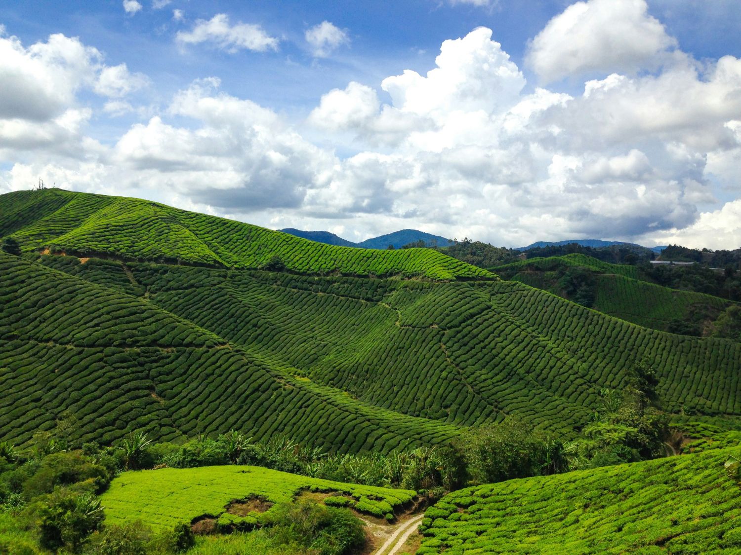 Malaysia & Vietnam Discovery - 12 days image
