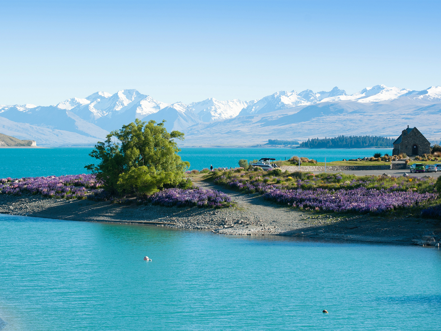 North Island Grand Discovery - 13 days primary image