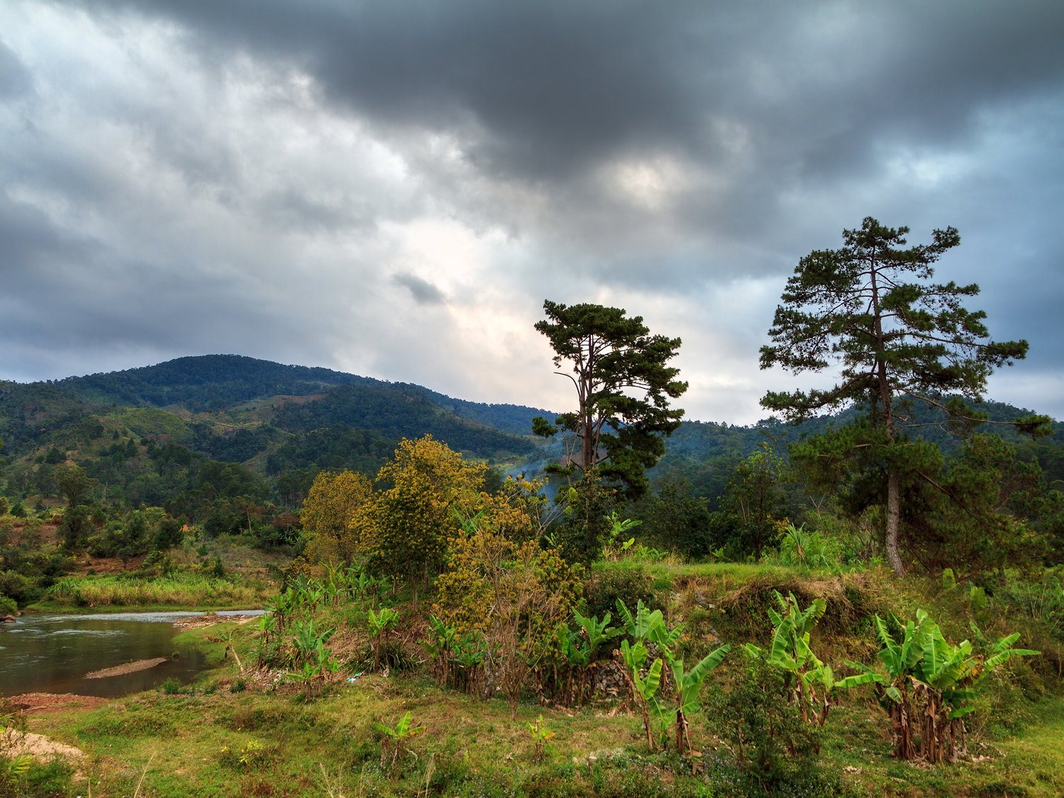 Ranomafana National Park image