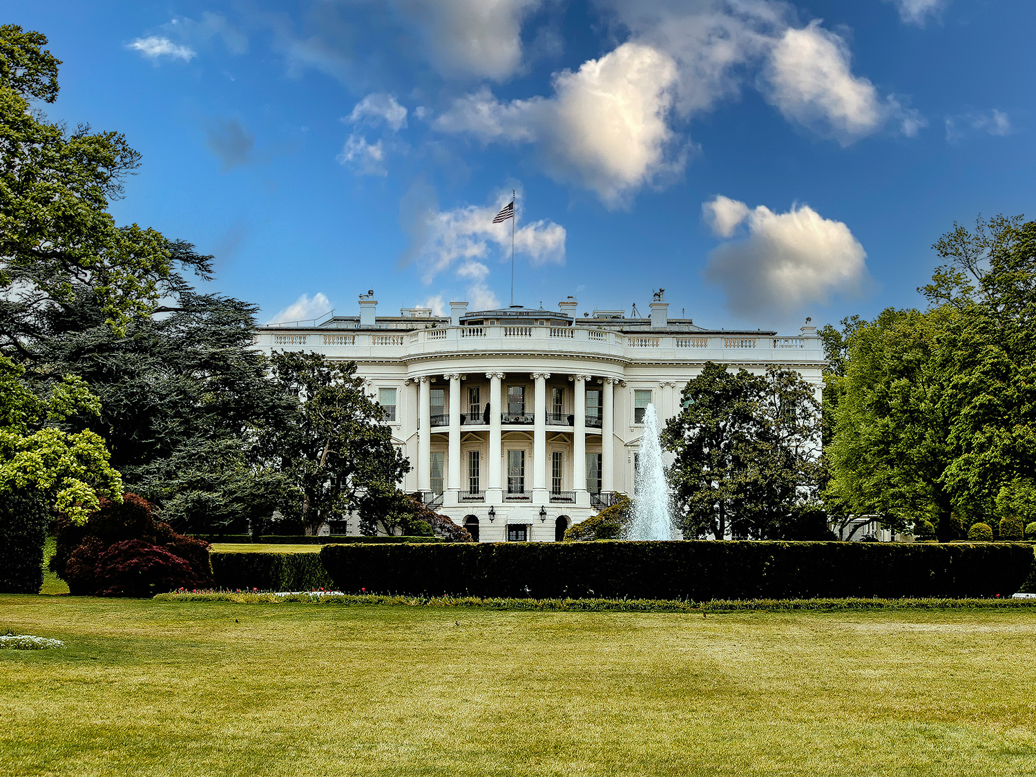 Washington DC image