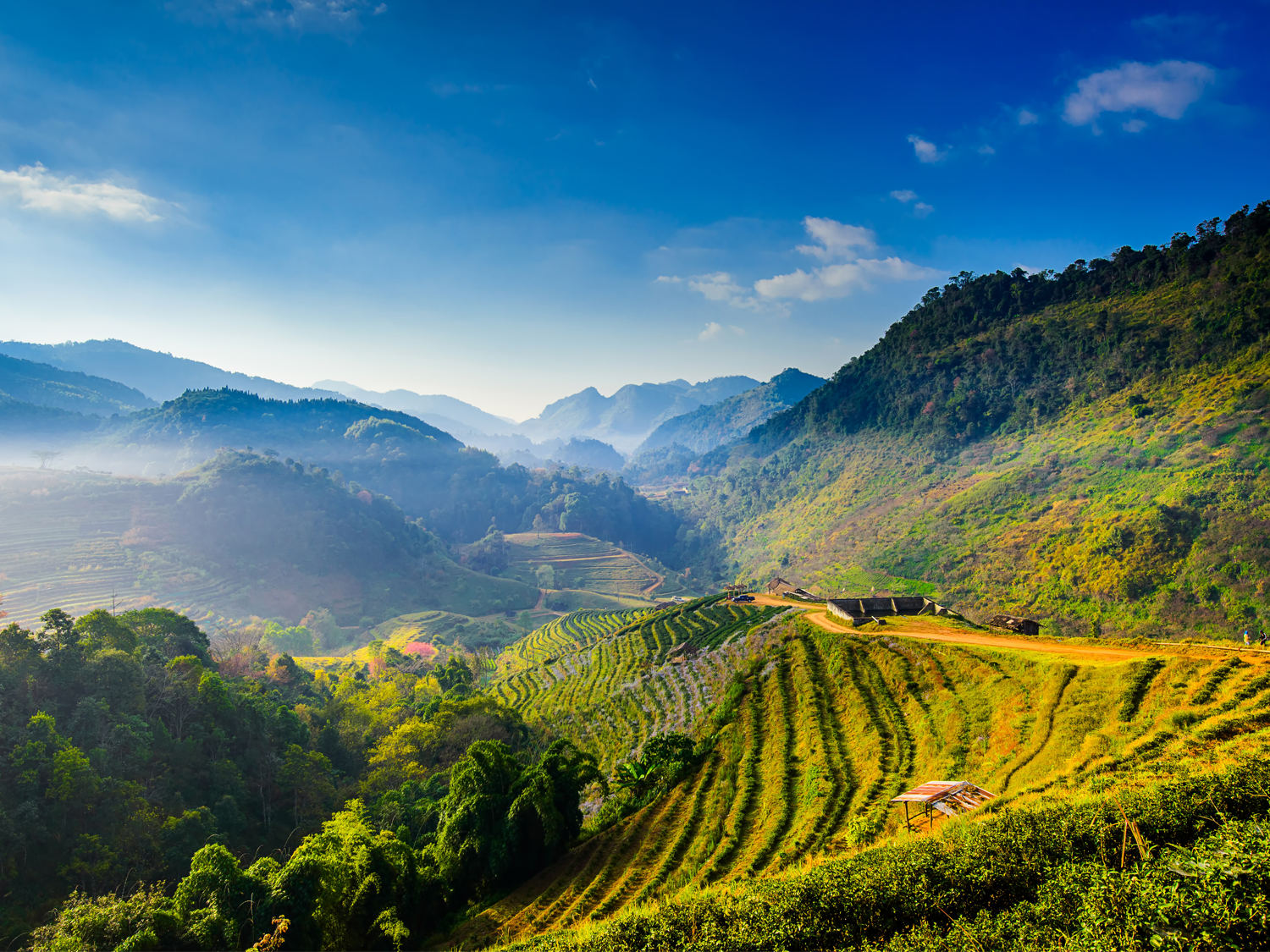 India Kerala image
